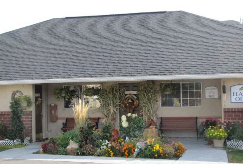 a house with a bunch of flowers in front of it